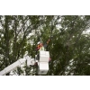 M18 FTPS30-0 podkrzesywarka teleskopowa FUEL™ 30 cm Milwaukee 4933480868
