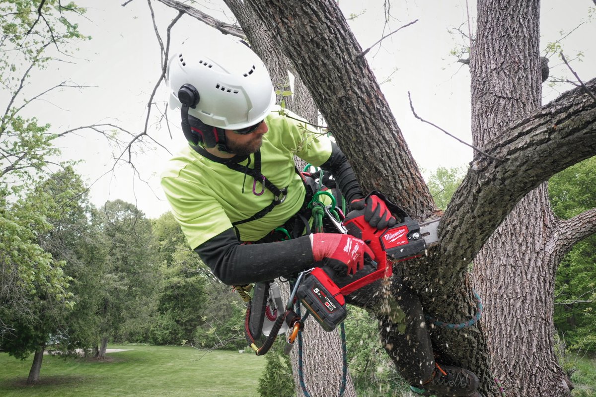 Arborysta tnie gałąź pilarką M18 FHS20