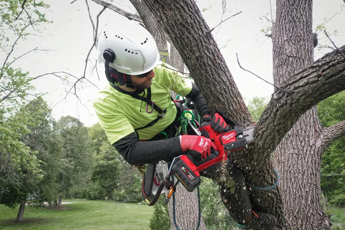Arborysta tnie gałąź pilarką M18 FHS20