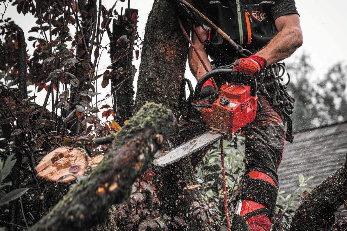 Arborysta tnie gałąź pilarką M18 FTHCHS w koronie drzewa