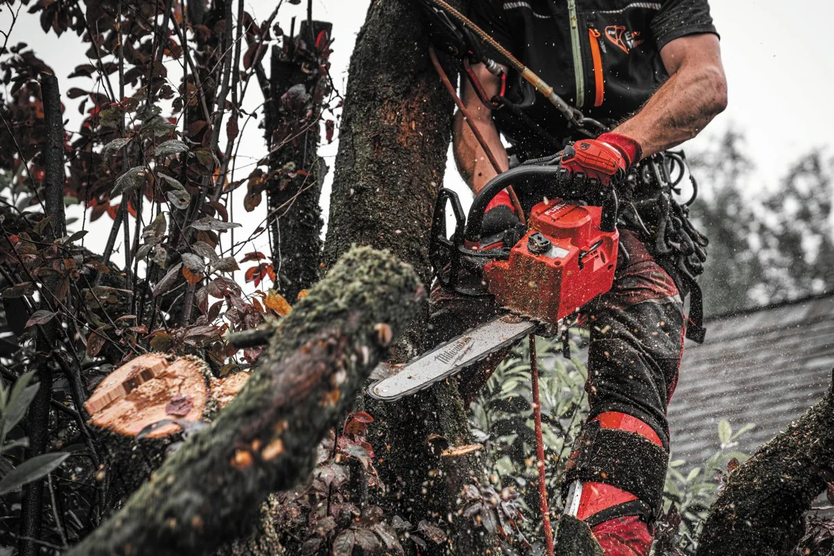 Arborysta tnie gałąź pilarką M18 FTHCHS w koronie drzewa